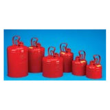 Safety Can, Type 1, 2 Gallon, EA