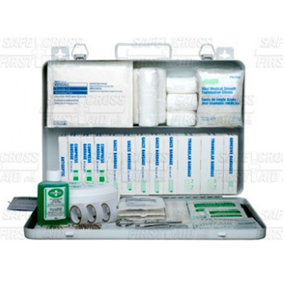 Newfoundland & Labrador, Bus First-Aid Kit, 36 Unit, Metal Cabinet, EA